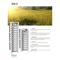 Блок керування акумуляторами BOS-G Deye HVB750V / 100A-EU, високовольтний, 3-12 АКБ