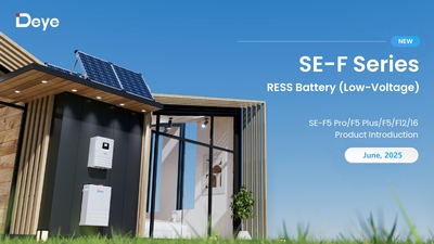 Аккумуляторная батарея 12кВт Deye SE-F12-С 51.2V 230Ah с экраном