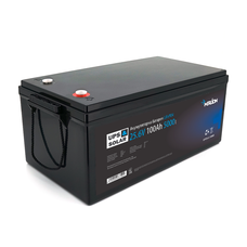 Литий-железо-фосфатный аккумулятор Merlion LiFePO4 25.6V 100AH (8S2P / BMS-100A), (522x270x225), 3000 циклов