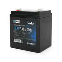 Літій-залізо-фосфатний акумулятор Merlion LiFePO4 12.8V 3AH (4S1P / BMS-5A), (90х70х101(107)) для електротранспорту, 3000 циклів